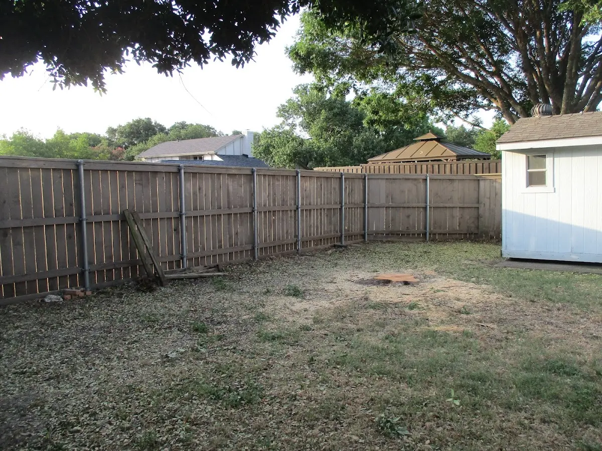 Cleared yard after professional tree removal in East Wareham